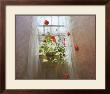 Red Geraniums by Peter Poskas Limited Edition Print