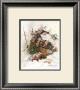 Woodland Wayfarer by Peggy Abrams Limited Edition Print