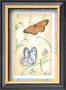 Checkerspot & Pine White by Paul Brent Limited Edition Pricing Art Print