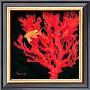 Sea Fan I by Paul Brent Limited Edition Pricing Art Print