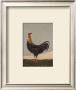 Rooster Facing West by Warren Kimble Limited Edition Print