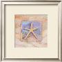 Summer Starfish by Paul Brent Limited Edition Print
