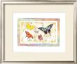 American Butterflies Ii by Paul Brent Limited Edition Pricing Art Print
