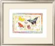 American Butterflies Ii by Paul Brent Limited Edition Print