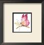 Butterfly In Pink by Peggy Abrams Limited Edition Pricing Art Print
