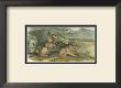 Nuttall's Hare by John James Audubon Limited Edition Print