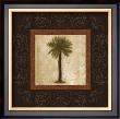 Sago Palm by Keith Mallett Limited Edition Print