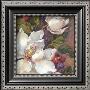 Magnolia Square I by Barbara Mock Limited Edition Print