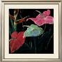 In Bloom Ii by Pegge Hopper Limited Edition Print