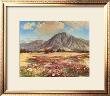 Desert In Spring by Robert Wood Limited Edition Pricing Art Print