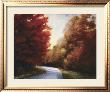 Maple Drive by Robert Striffolino Limited Edition Print