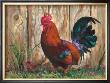 Bantie Rooster by Nenad Mirkovich Limited Edition Pricing Art Print