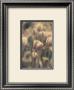 Tinted Tulips I by Thea Schrack Limited Edition Print