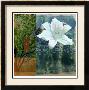 Signature 1 by Miguel Paredes Limited Edition Print