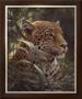 Symbol Of The Rainforest by Robert Bateman Limited Edition Print