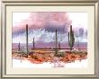 Sonoran Splendor by Adin Shade Limited Edition Print