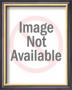 White Man's Moccasins by Lee Marmon Limited Edition Print