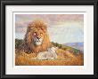 Lion And Lamb by Lucie Bilodeau Limited Edition Print