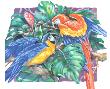 Tropical Garden Macaws I Red & Blue by Paul Brent Limited Edition Print