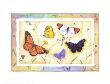 American Butterflies I by Paul Brent Limited Edition Pricing Art Print
