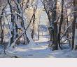 Cottonwoods In Winter by Clyde Aspevig Limited Edition Print