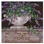 Paquet De Menthe by Janet Kruskamp Limited Edition Pricing Art Print