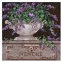 Paquet De Menthe by Janet Kruskamp Limited Edition Print