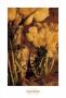 Antique Tulips I by Thea Schrack Limited Edition Pricing Art Print
