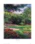 13Th At Augusta by Ken Call Limited Edition Pricing Art Print