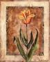 Tulips Ii by Glenda Brown Limited Edition Print