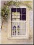 Windowsill Hyacinth by Barbara Shipman Limited Edition Print