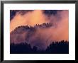Sunset Fog In Valley, Morton Overlook, Great Smoky Mountains National Park, Tennessee, Usa by Adam Jones Limited Edition Print