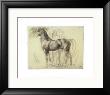Study Of Horses For Semiramis by Edgar Degas Limited Edition Pricing Art Print