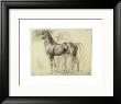 Study Of Horses For Semiramis by Edgar Degas Limited Edition Print