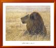 Danger On The Wind by John Banovich Limited Edition Print