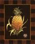 Old World Pineapple Ii by David Nichols Limited Edition Pricing Art Print