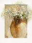 Flowers In Pot I by Willem Haenraets Limited Edition Print