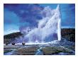 Old Faithful by Paco Young Limited Edition Print