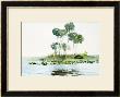 St. Johns River, Florida, 1890 by Winslow Homer Limited Edition Print