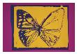 Vanishing Animals: Butterfly, C.1986 (Yellow On Purple) by Andy Warhol Limited Edition Pricing Art Print