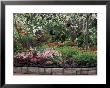 Indoor Garden, Krohn Conservatory, Cincinatti, Ohio, Usa by Adam Jones Limited Edition Print