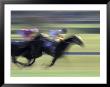 Thoroughbred Horse Racing At Churchill Downs, Louisville, Kentucky, Usa by Adam Jones Limited Edition Print