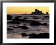 Seastacks At Sunset, Rialto Beach, Olympic National Park, Washington, Usa by Adam Jones Limited Edition Print