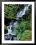 Japanese Garden, Portland, Oregon, Usa by Adam Jones Limited Edition Print