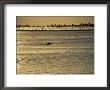 Old San Juan Harbor Entrance, Puerto Rico by Robin Hill Limited Edition Print