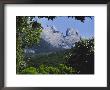 Mount Kinabalu, Sabah, Island Of Borneo, Malaysia, Asia by David Poole Limited Edition Print