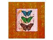 Butterflies Iii by Miguel Paredes Limited Edition Print