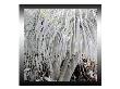 Tropical Palms Xvii by Miguel Paredes Limited Edition Print