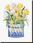 Tub Of Tulips by Bambi Papais Limited Edition Print