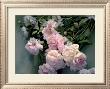 Heritage Roses by Edward Szmyd Limited Edition Pricing Art Print